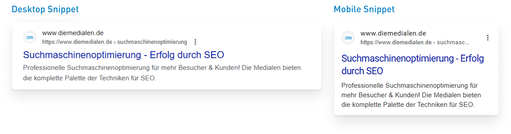 Snippet Meta Daten